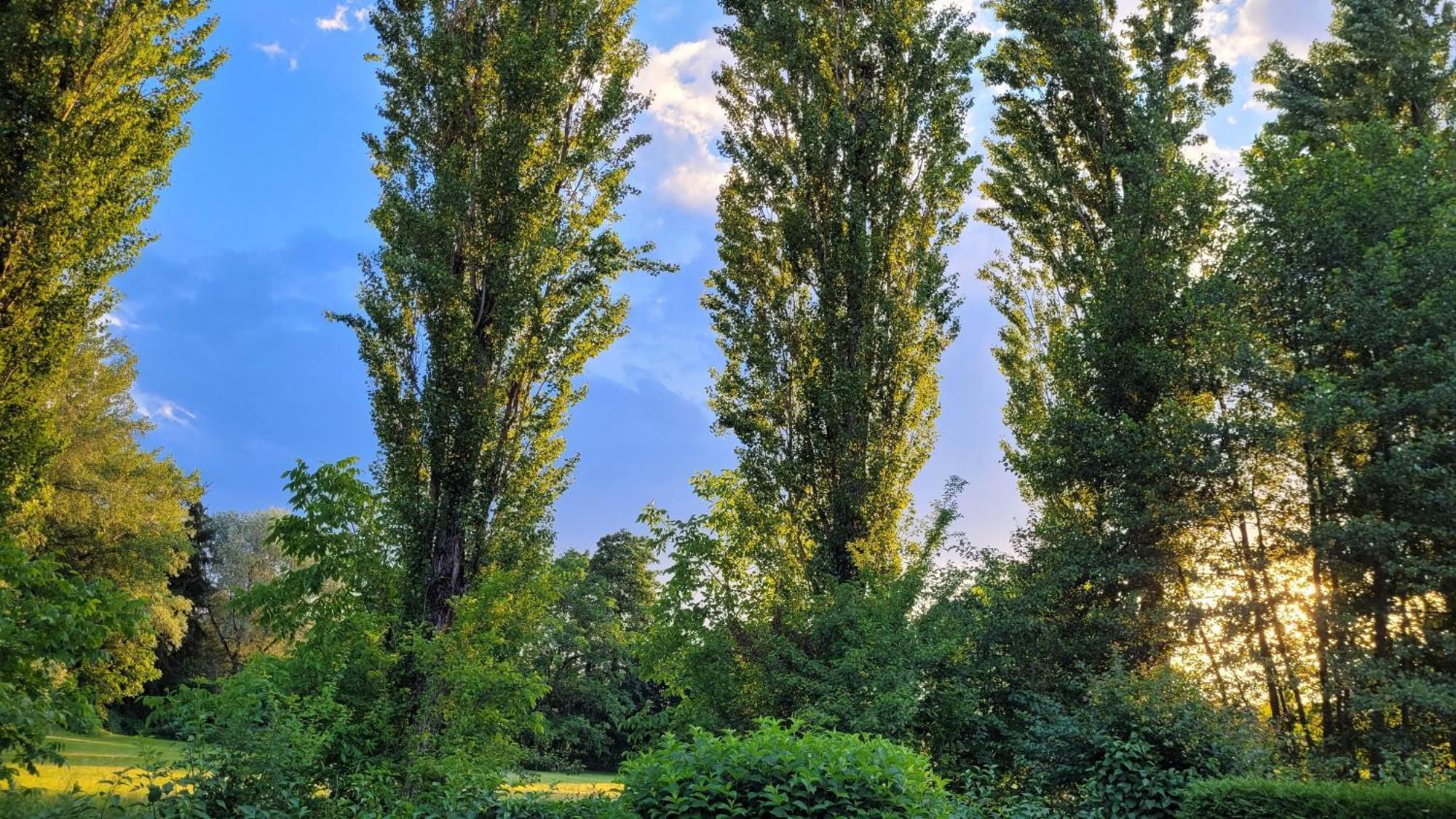 Villa Blu Sankt Kanzian am Klopeiner See Εξωτερικό φωτογραφία